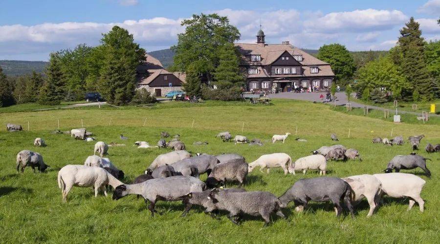 关于捷克超级联赛狂热!利贝雷茨主场2-1小胜兹林,豪取开门红的信息 关于捷克超级联赛狂热!利贝雷茨主场2-1小胜兹林,豪取开门红的信息