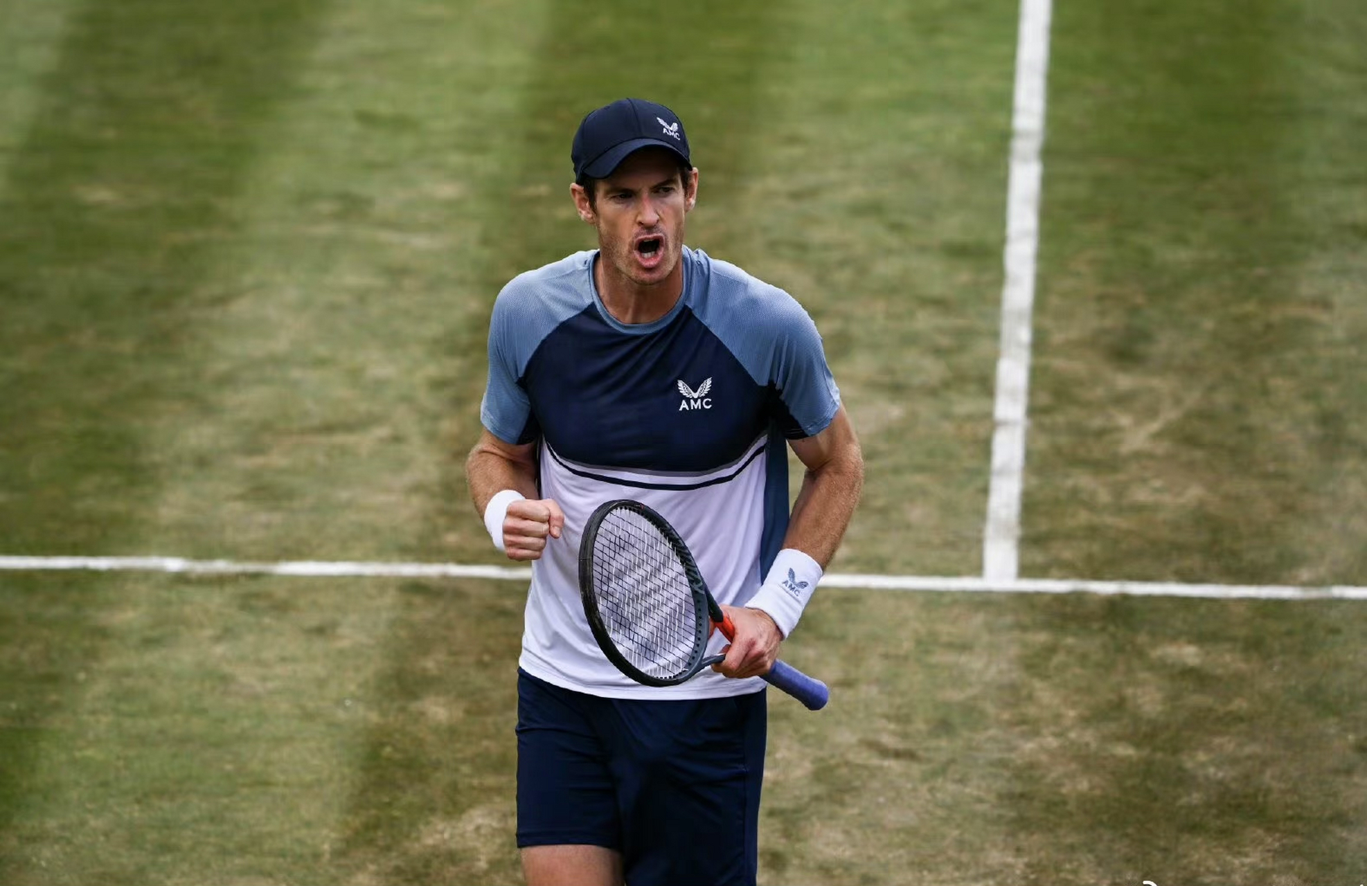 包含日本网球队强势欧洲网球队，穆雷绝境逆转的词条