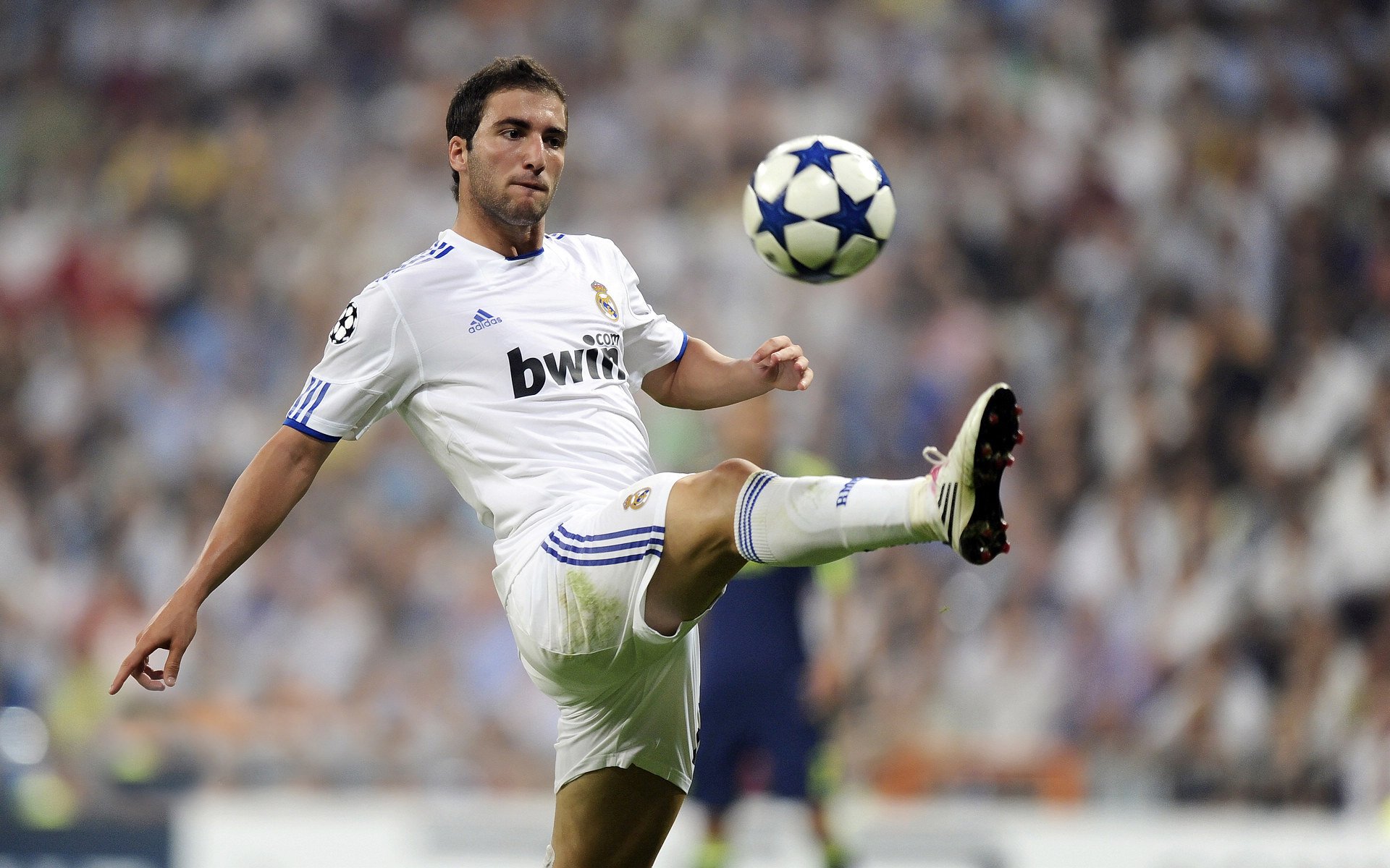 鲁德横扫联合杯，ATP总决赛见证北欧风暴的崛起